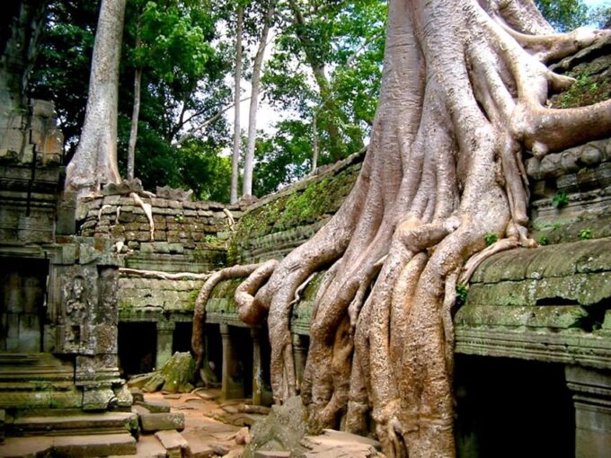 Angkor Wat Sunrise Photography and Temples Adventure Tour - Important Information