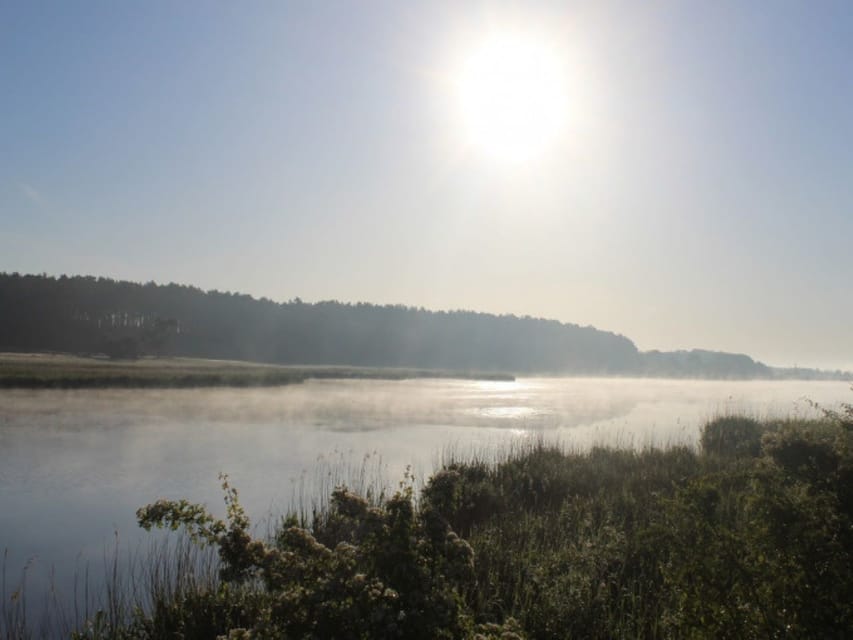 Anklam: Guided Hiking Tour in Peenetal Nature Park - Customer Feedback