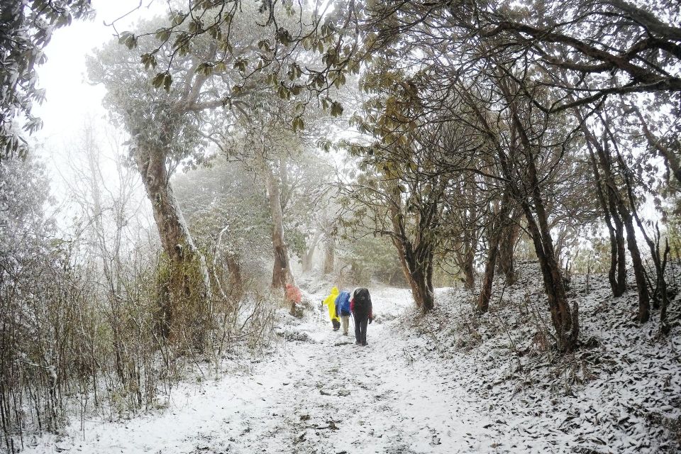 Annapurna Base Camp Trek via Poon Hill - 13 Days - Transportation Information