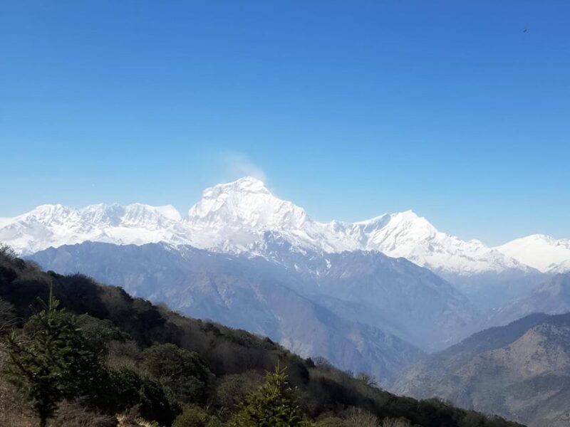 Annapurna Sanctuary Trek: Unveiling Nepals Majestic Peaks - Essential Inclusions