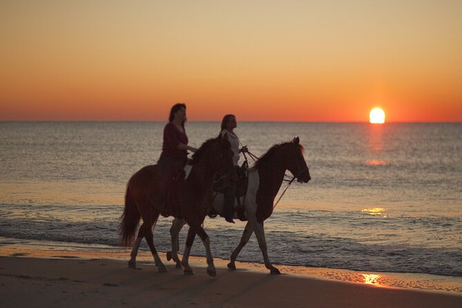 Antalya Horse Riding On Beach And Through The Forests For 2 Hours - Customer Feedback and Reviews