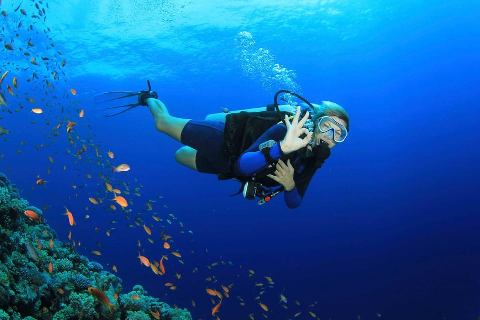 Antalya Scuba Diving Adventure With Expert Diver Option - Expert Guidance and Safety