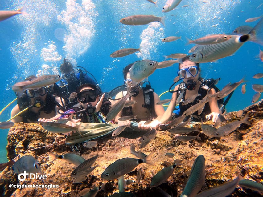 Antalya Scuba Diving by Boat Tours With Lunch - Booking and Cancellation Policies