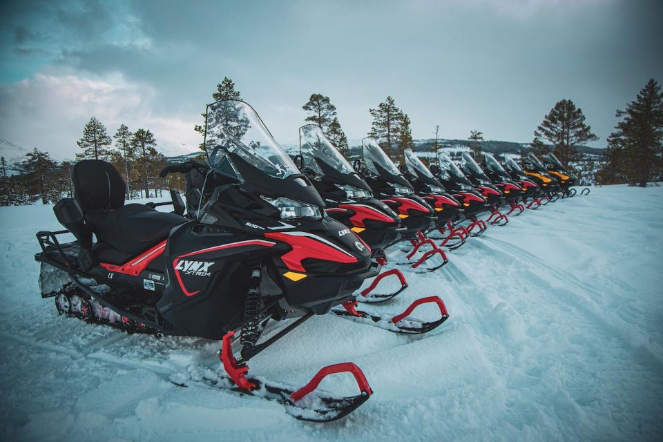 Arctic Adventure: Northern Lights Hunting With Snowmobiles - Customer Experiences and Feedback