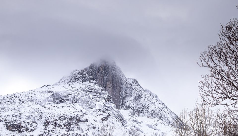 Arctic Nature Tour From Tromsø - Included Amenities