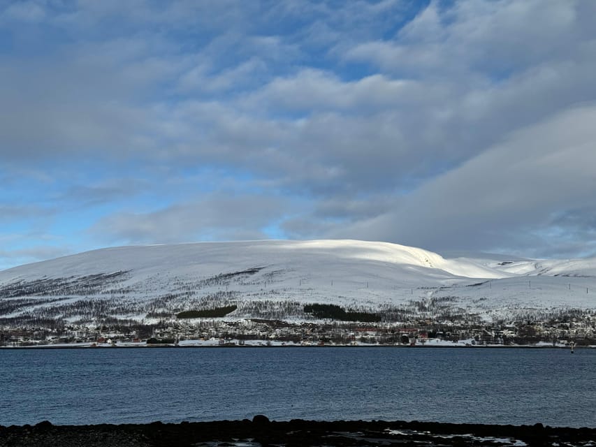 Arctic Nature Tour in Kvaløya With Hot Food and Drinks - Photo Opportunities