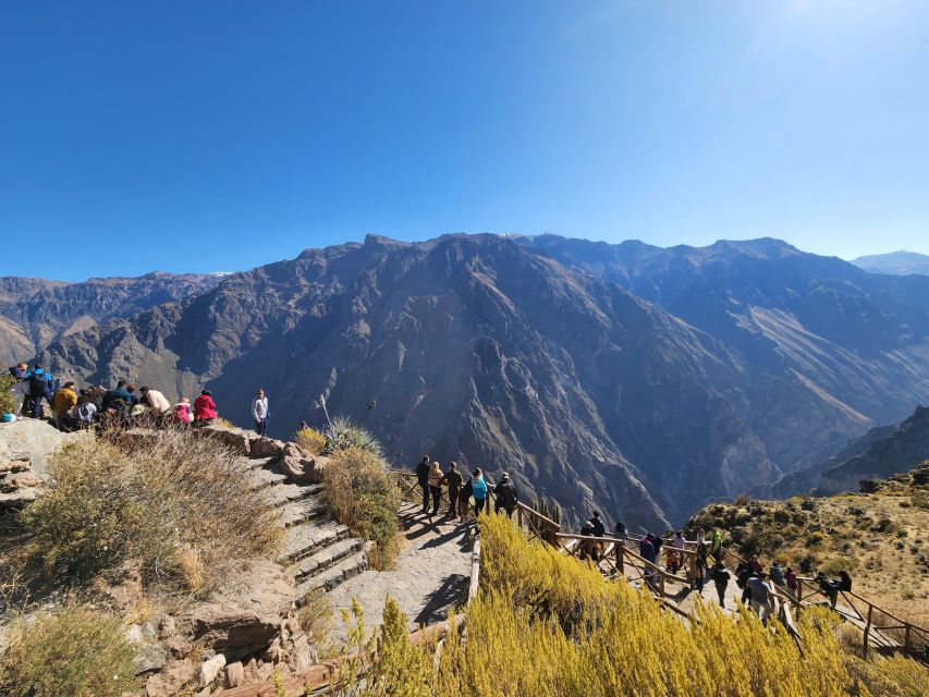 Arequipa: Colca Canyon Tour With Breakfast and Lunch - Customer Reviews