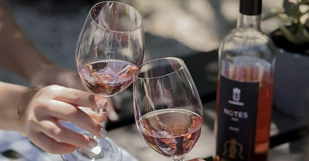 Argostoli: Kefalonian Wine Tasting With Gourmet Lunch - Suitability and Cancellation Policy