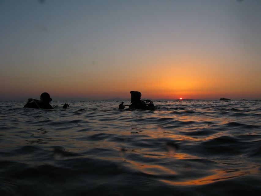 Athens: Adventure Dives in Nea Makri for Certified Divers - Safety Guidelines