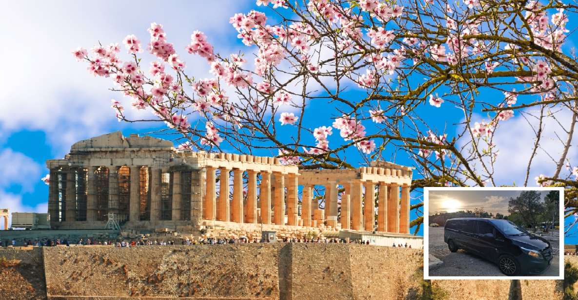 Athens: Wheelchair Accessible Top Sights Half-Day Tour - Customer Reviews and Feedback