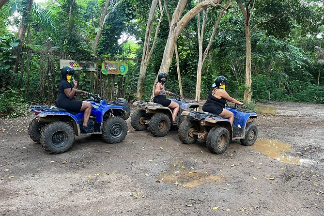 ATV , Horseback Ride & Ricks Cafe Sunset Tour From Montego Bay - Customer Reviews