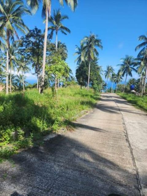 ATV Tour in Koh Phangan - Additional Services