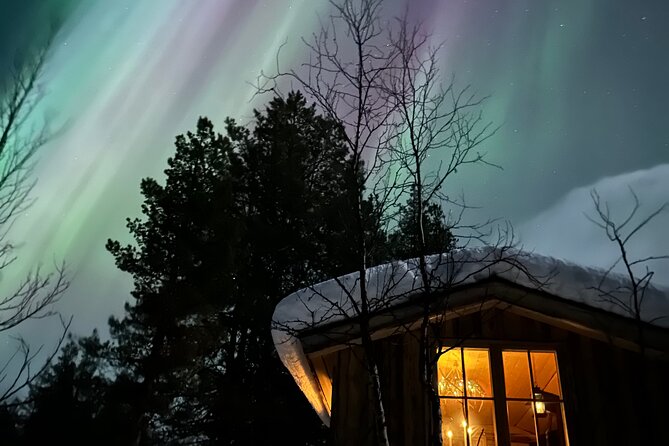 Aurora Hunting With Reindeer Caravan - Savoring Traditional Sámi Cuisine