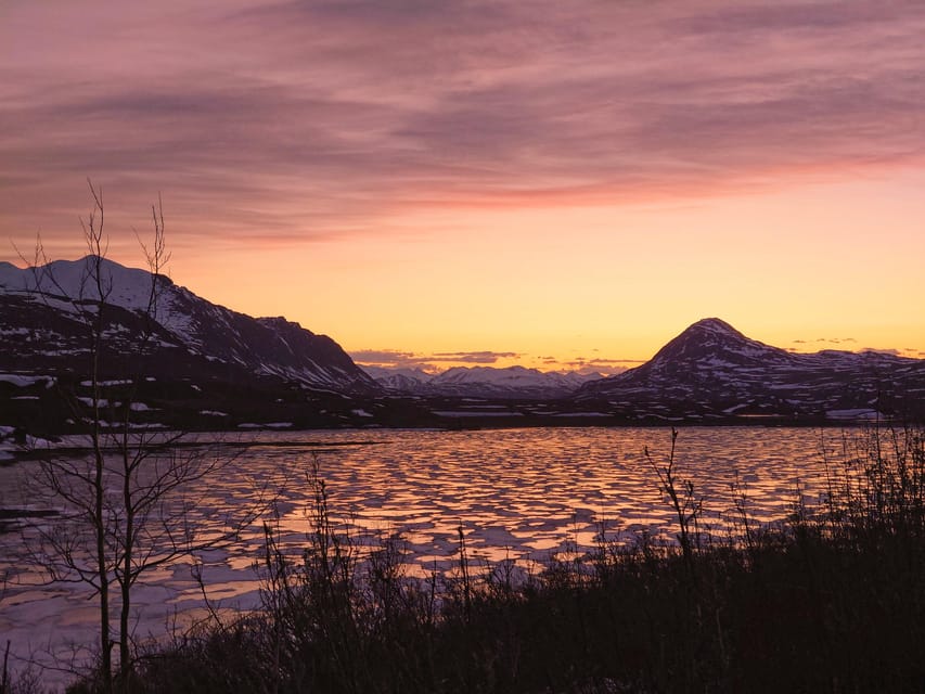 Authentical Denali Tour From Denali Park and Fairbanks - Photography Opportunities