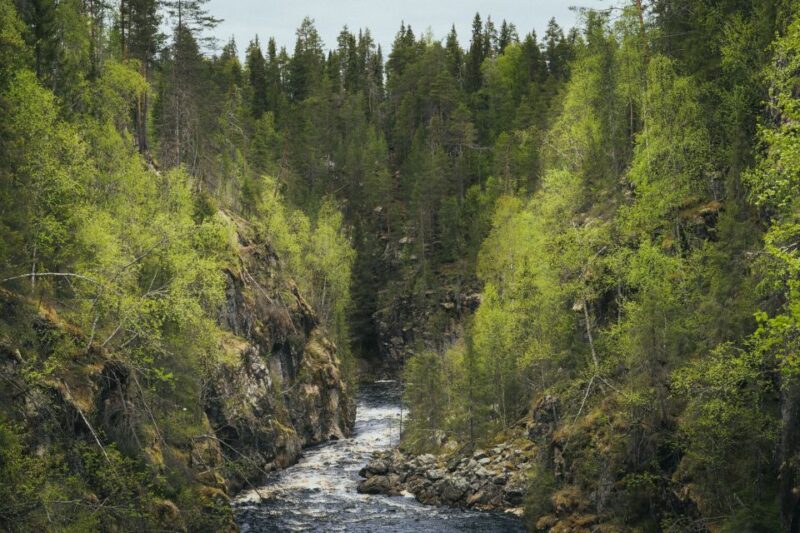 Auttiköngäs Hiking Experience - Activities Included