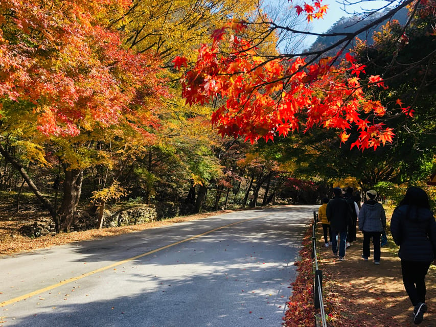 Autumn Foliage - Mt. Naejang + Jeonju Hanok Village - Important Tour Guidelines