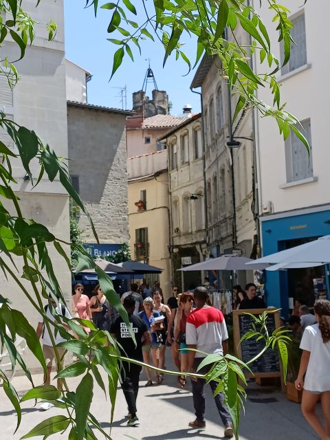 Avignon : Half-Day Walking Tour With Private Guide - Customer Feedback