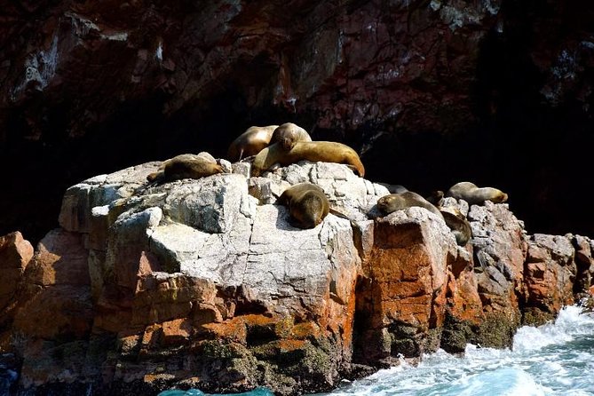 Ballestas Islands and Paracas National Reserve Day Trip From Paracas - Recommended Attire and Gear