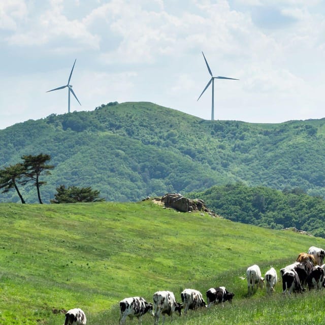 Balwangsan Cable Car & Samyang Ranch One Day Tour - Meeting Points