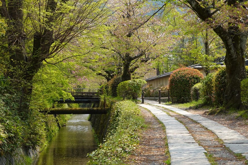 Bamboo Artistry & Zen Serenity: Tranquility With Ginkaku-Ji - Meeting Point and Inclusions