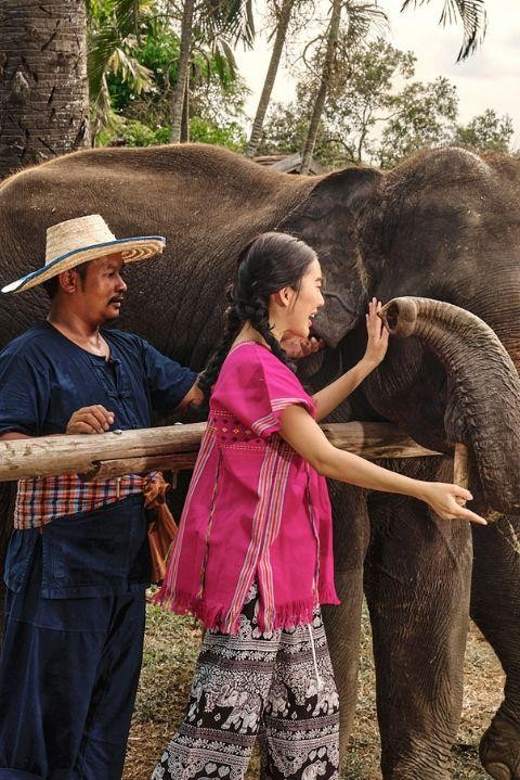 Bangkok Elephant Park: Half-Day Elephant Care - Mud Spa Experience