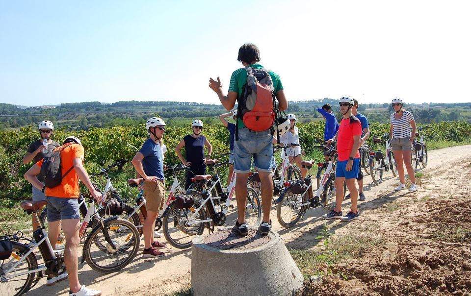 Barcelona: Bike & Wine Guided Tour - Penedès Vineyards - Important Information