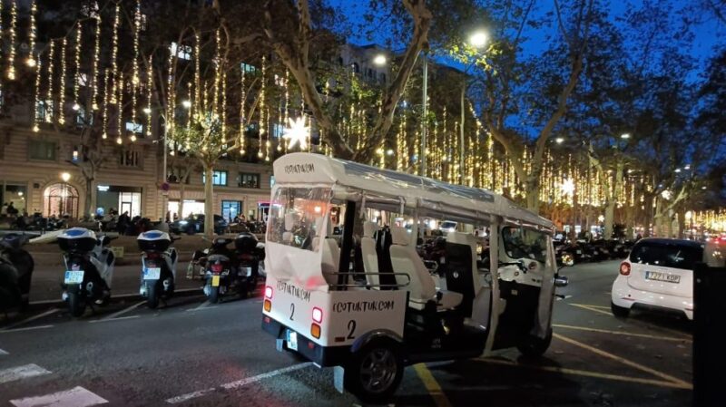Barcelona: Private Christmas Lights Tour by Eco Tuk Tuk - Customer Feedback and Ratings