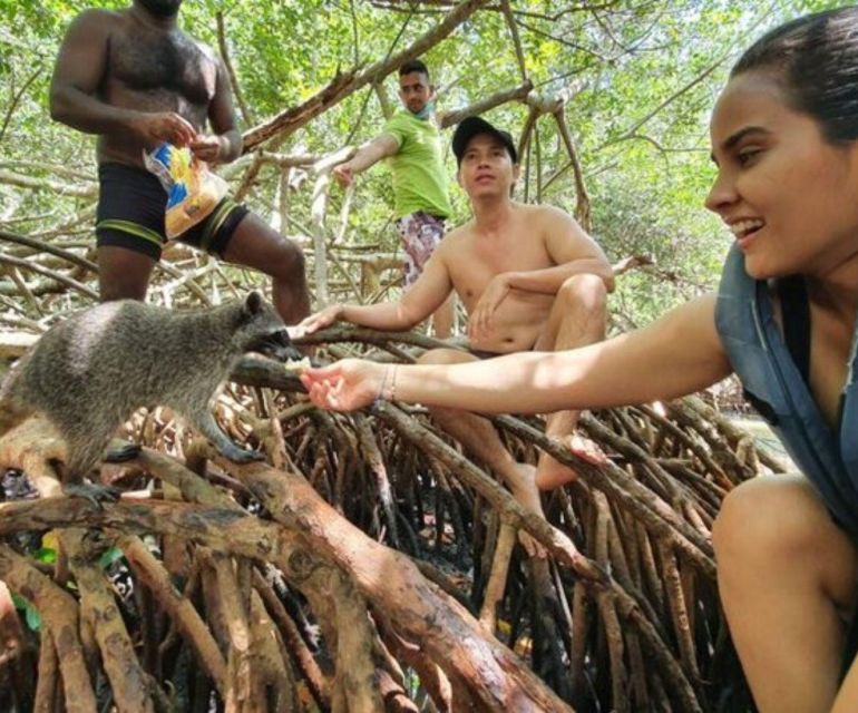 Barú: Club Freedom Beach With Mangrove and Snorkel - Customer Experiences