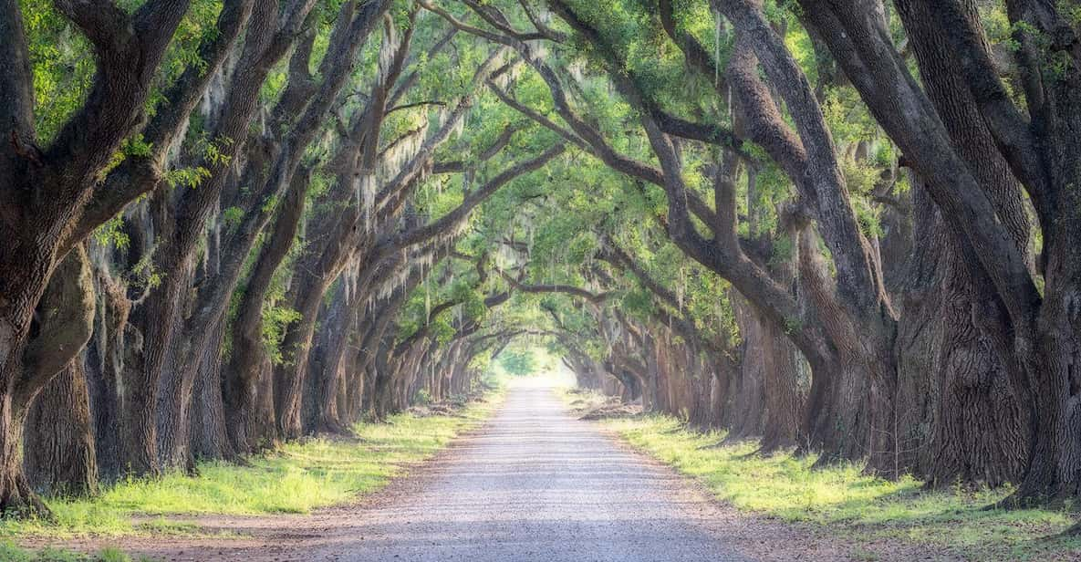 Bayous And Byways, Oak Alley Plantation And Kayak Swamp Tour - Inclusions and Amenities