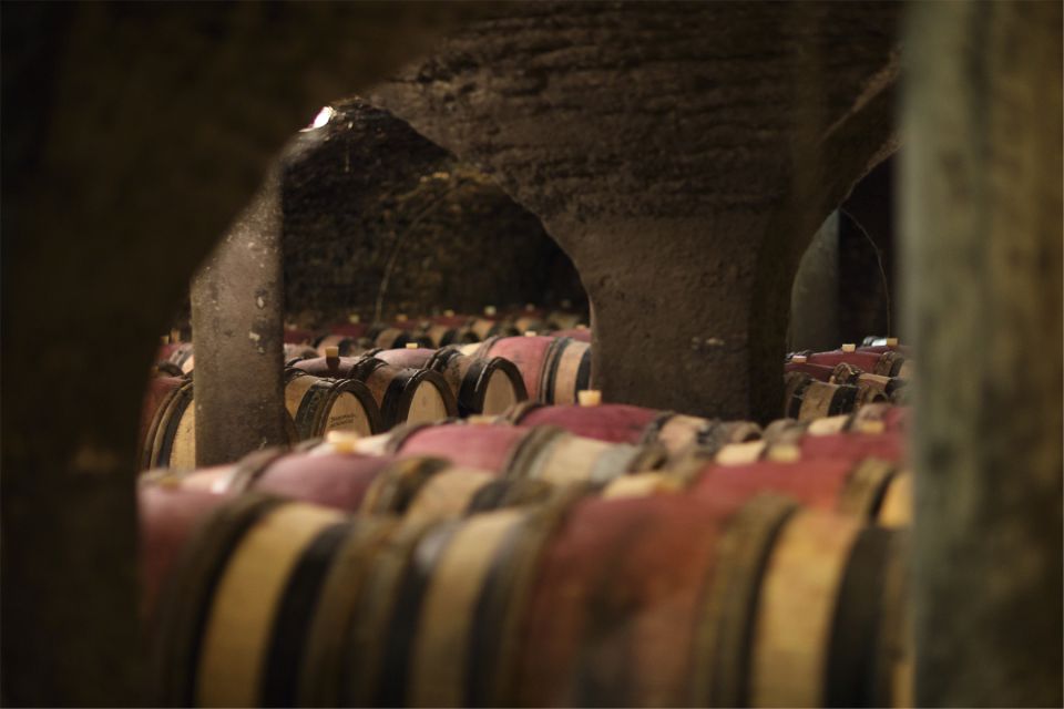 Beaune: Maison Champy Guided Cellar Tour With Wine Tasting - Eligibility and Booking Options