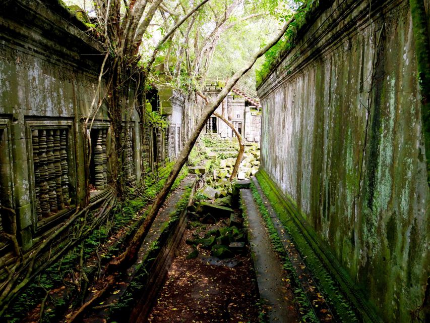 Beng Mealea Temple & Koh Ker Temple Tour - Participant Experiences