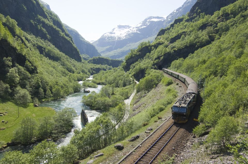 Bergen: Guided Day Tour, Nærøyfjord Cruise and Flåm Railway - Flåm Railway Adventure