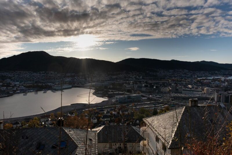 Bergen: Guided Minibus Tour With Photo Stops & Bryggen Tour - Accessibility Features