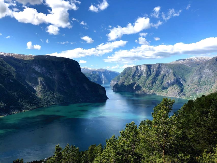 Bergen: Nærøyfjord, Flåm, and Stegastein Guided Bus Tour - Inclusions and Exclusions