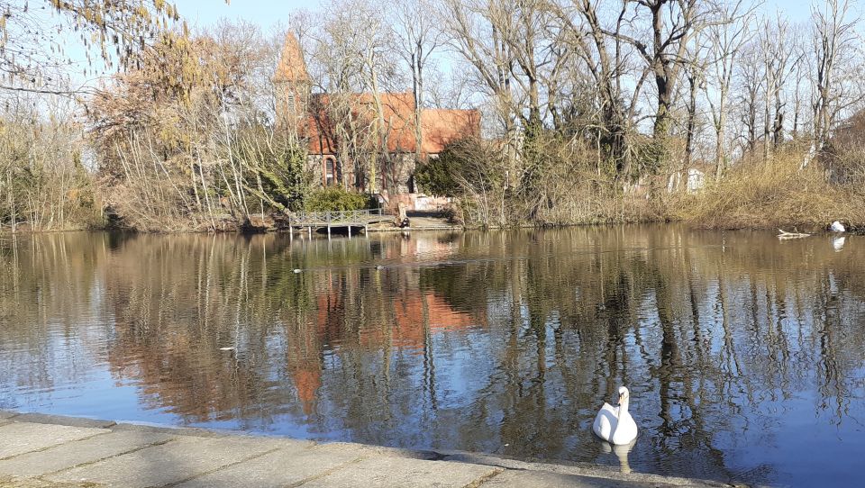 Berlin: Castle Britz Gardens Private Tour - Accessibility Details