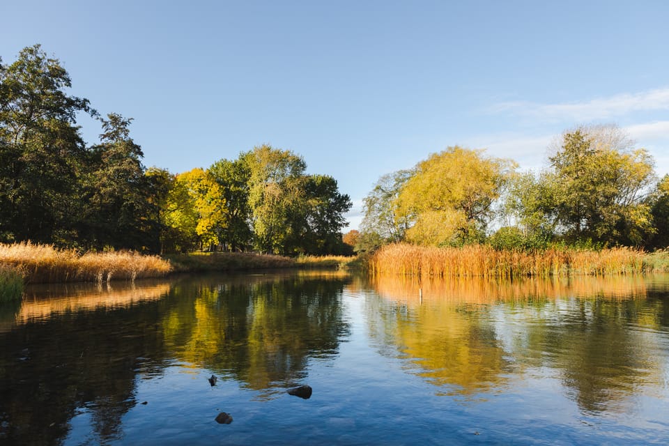 Berlin: Guided Tour Through Britzer Garten - History of Britzer Garten