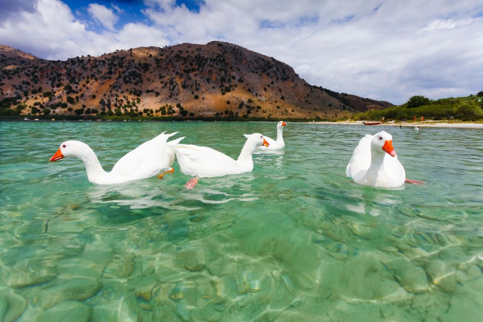 Best of Chania Sights & Lake Kournas Full Day Private Tour - Inclusions and Amenities