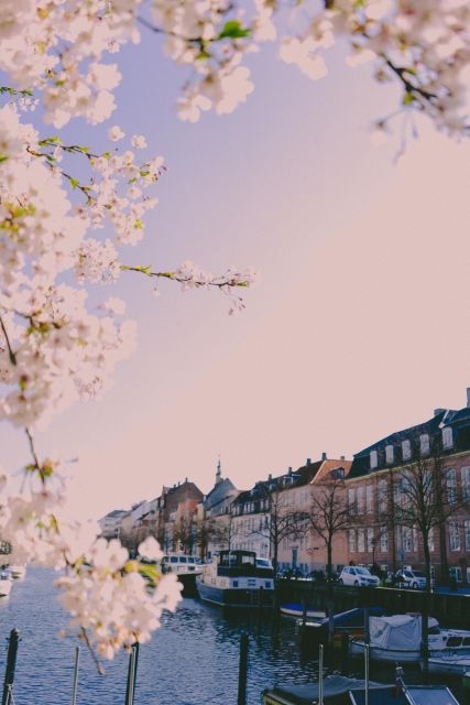 Best of Copenhagen Biking Tour-3 Hours, Small Group Max 10 - Meeting Information