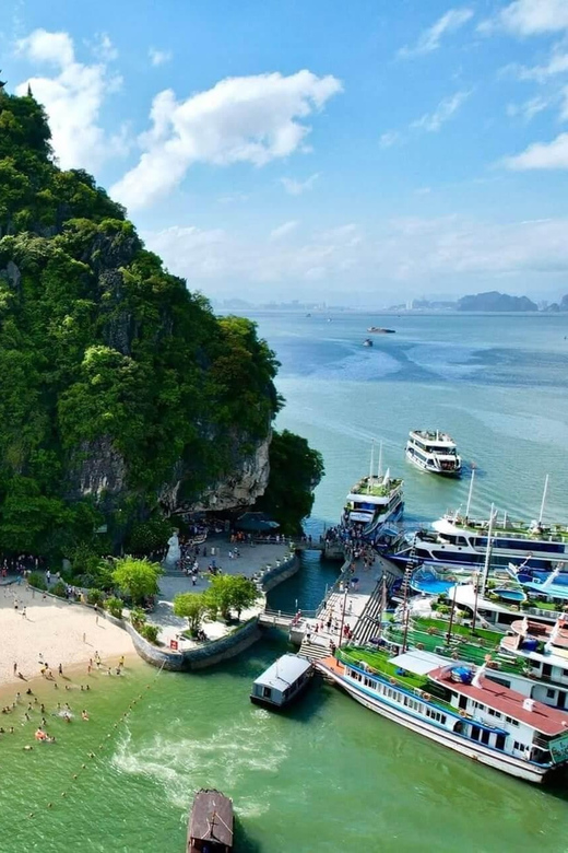 Best Price Ha Long Bay Day Trip With Kayaking and Cave Visit - Tips for a Great Experience