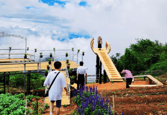 Best Value : Mon Jam, Doi Suthep, Wat Umong and Fluer Cafe - Inclusions
