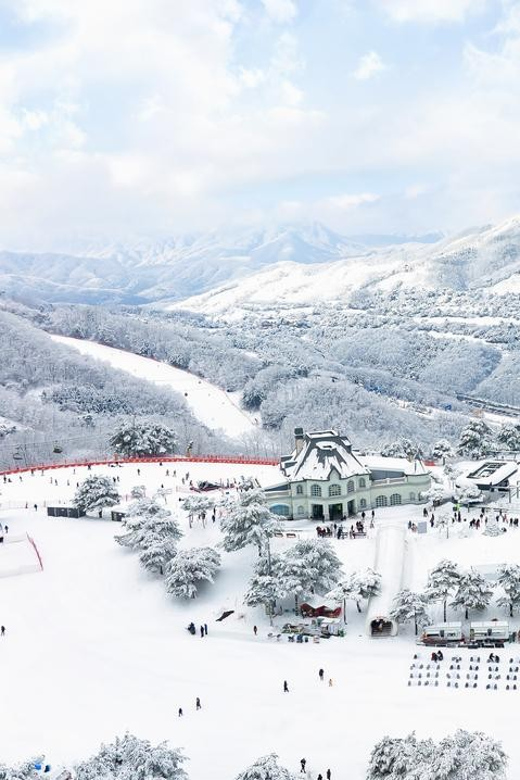 Beyond Seoul: Ski&Sled Adventure at Sono Belle Vivaldi Park - Sledding Experience