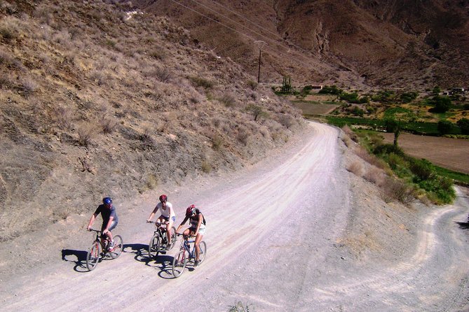 Bicycle Rides - Explore Los Cardones