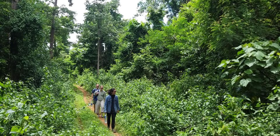 Bidoup National Park: Discover the Beauty and Biodiversity - Recommendations for Visitors