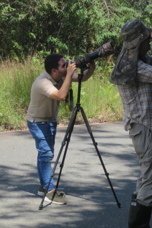 Birding Colombia: 8 Days of Birds Wonders in Valle Del Cauca - Related Birding Adventures