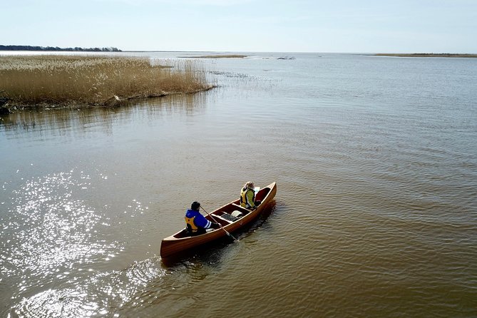 BIRDWATCH - Premium Guided Canoe Tour at Cape Vente, Nemunas Delta Regional Park - Bird Species Diversity