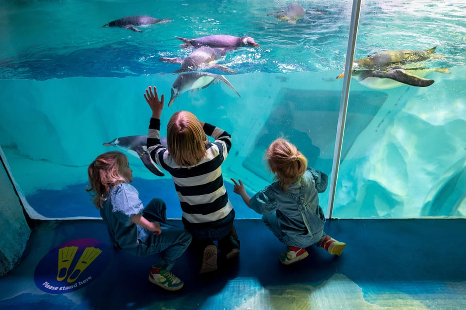 Birmingham: Cadbury World + SEA LIFE + LEGOLAND Discovery - LEGOLAND Discovery Centre Highlights