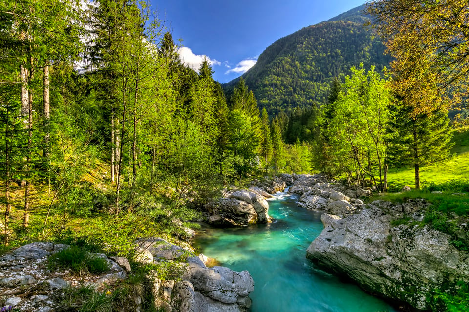 Bled: Soča River Experience - Important Information