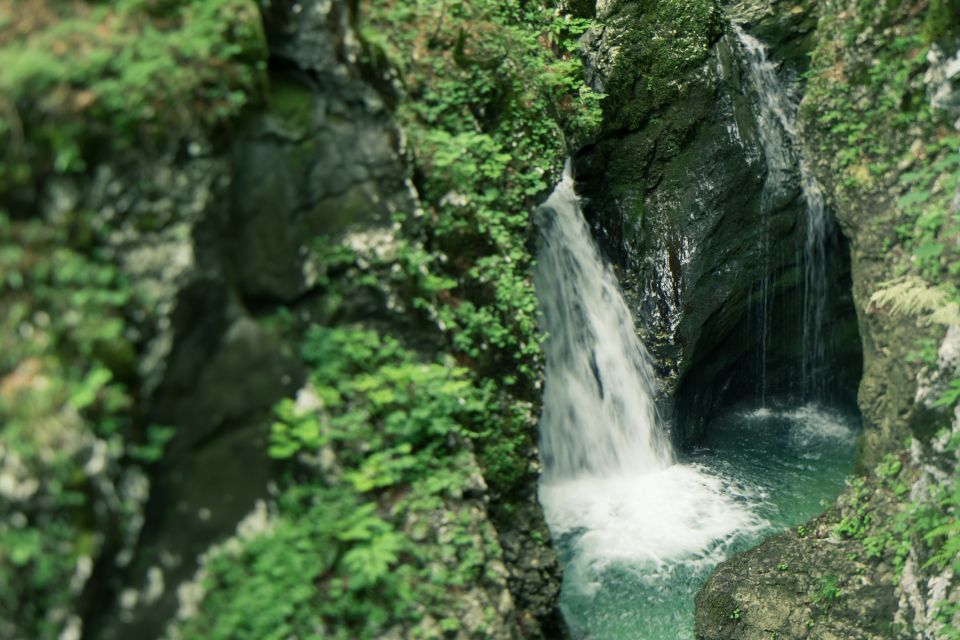 Bled: Triglav National Park Canyoning Adventure With Photos - Meeting Point