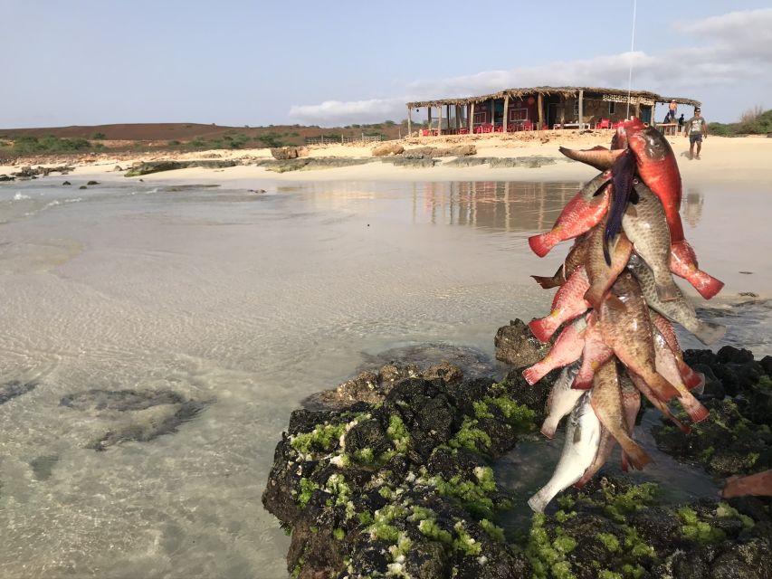 Boa Vista: Lobster Lunch at Santa Monica Beach - Menu and Dietary Restrictions