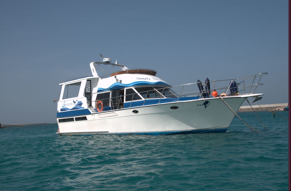 Boa Vista: Whale Watching Trip With Motoryacht - Important Information